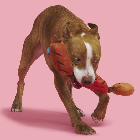 A brown dog playing with sausage links plush toy. against a pink backgrpund