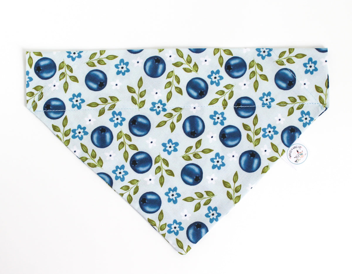 A over the collar dog bandana against a white background, featuring a repeating pattern of blueberries, blue flowers, and green leaves. A small circular brand tag is visible on the right side.