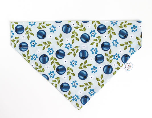 A over the collar dog bandana against a white background, featuring a repeating pattern of blueberries, blue flowers, and green leaves. A small circular brand tag is visible on the right side.