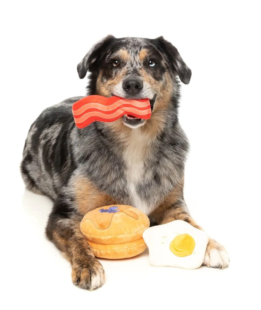 A dog sitting with a plush bacon dog toy in its mouth with a plush pancake and eggs by its paws