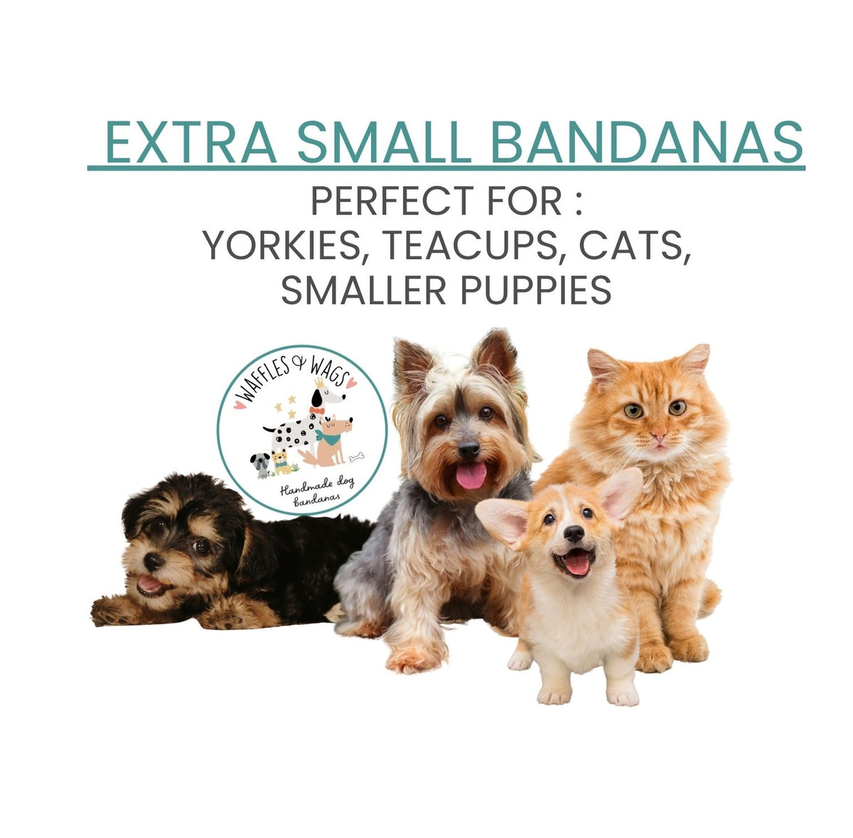Promotional graphic for extra small dog bandanas, featuring the text 'EXTRA SMALL BANDANAS' and 'PERFECT FOR: YORKIES, TEACUPS, CATS, SMALLER PUPPIES' above four small dogs on a white background. A circular logo for 'Waffles and Wags Co. Handmade Dog Bandanas' is visible on the left.