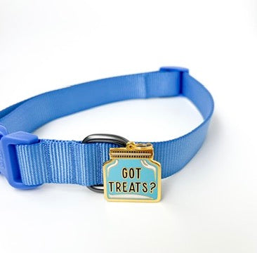 A blue adjustable nylon pet collar with a small decorative tag that reads 'GOT TREATS?' in gold and light blue, shown on a white background.