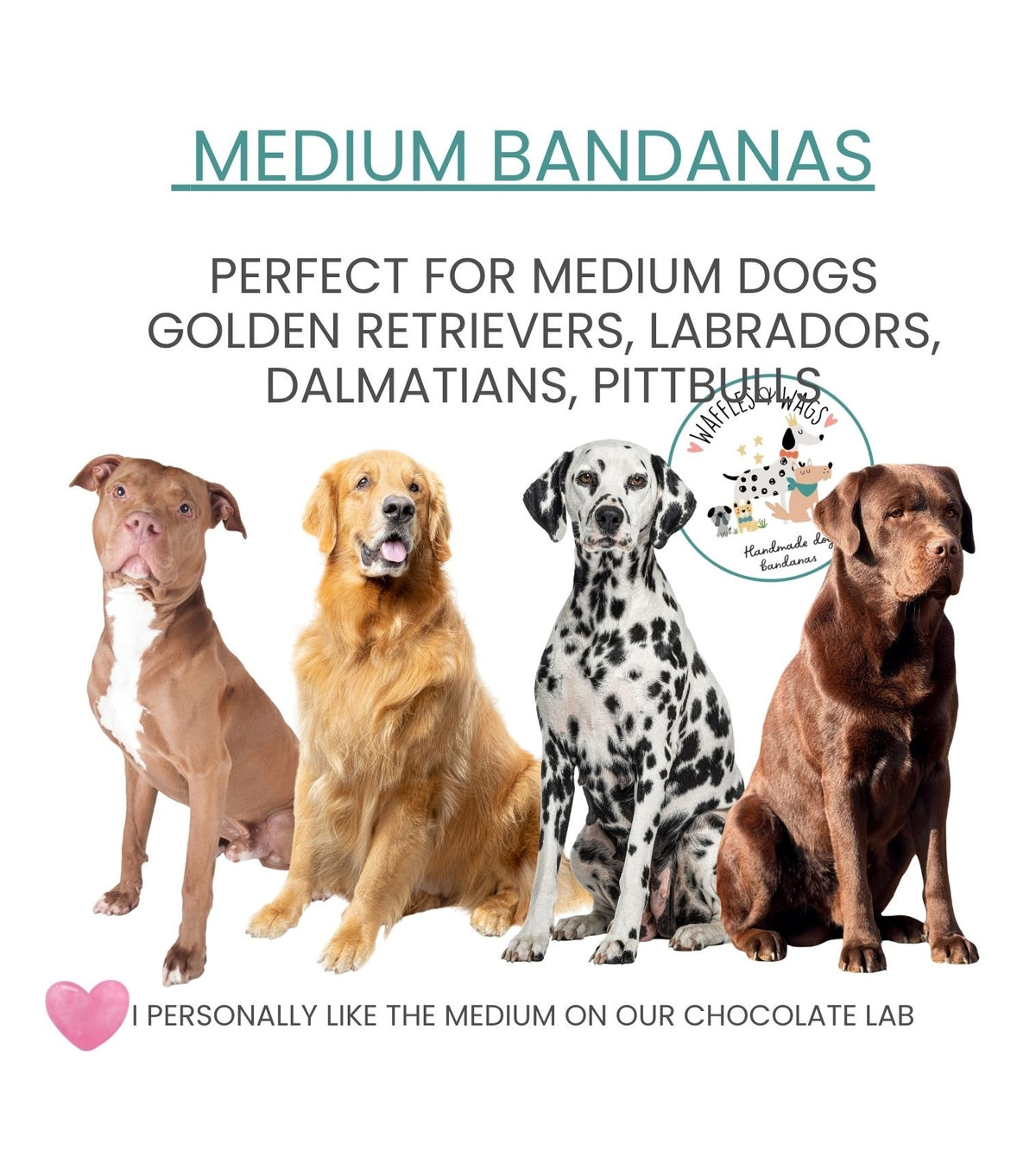 A promotional graphic for medium bandanas, featuring four dogs sitting side by side: a brown pitbull-type dog, a golden retriever, a Dalmatian, and a chocolate lab. Text reads 'MEDIUM BANDANAS' and 'PERFECT FOR MEDIUM DOGS GOLDEN RETRIEVERS, LABRADORS, DALMATIANS, PITTBULLS.