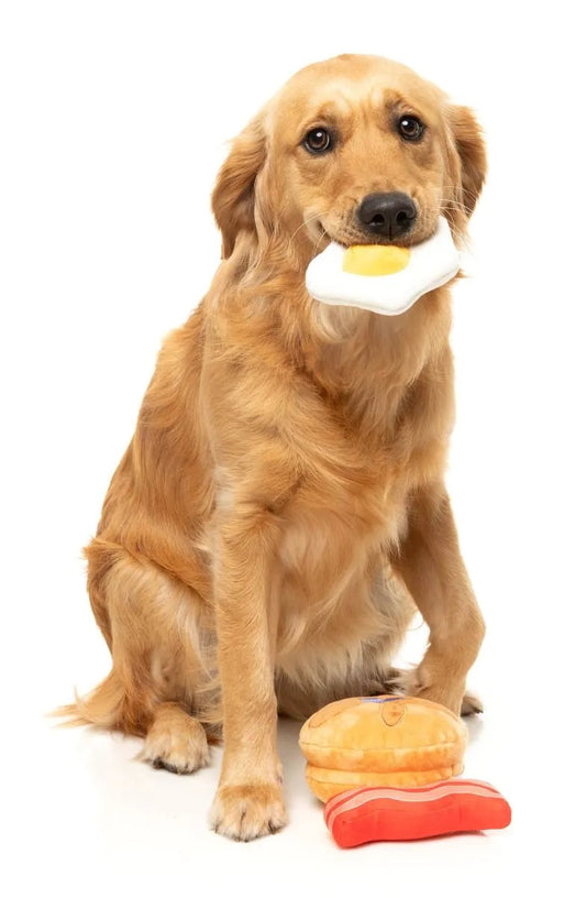 Dog holding a toy in its mouth with two additional toys on the ground.