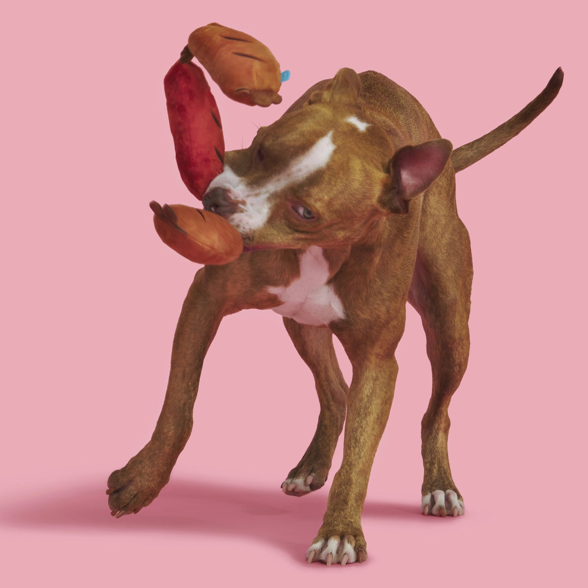 A brown dog playing with a Sausage Links Plush Dog Toy against a pink background