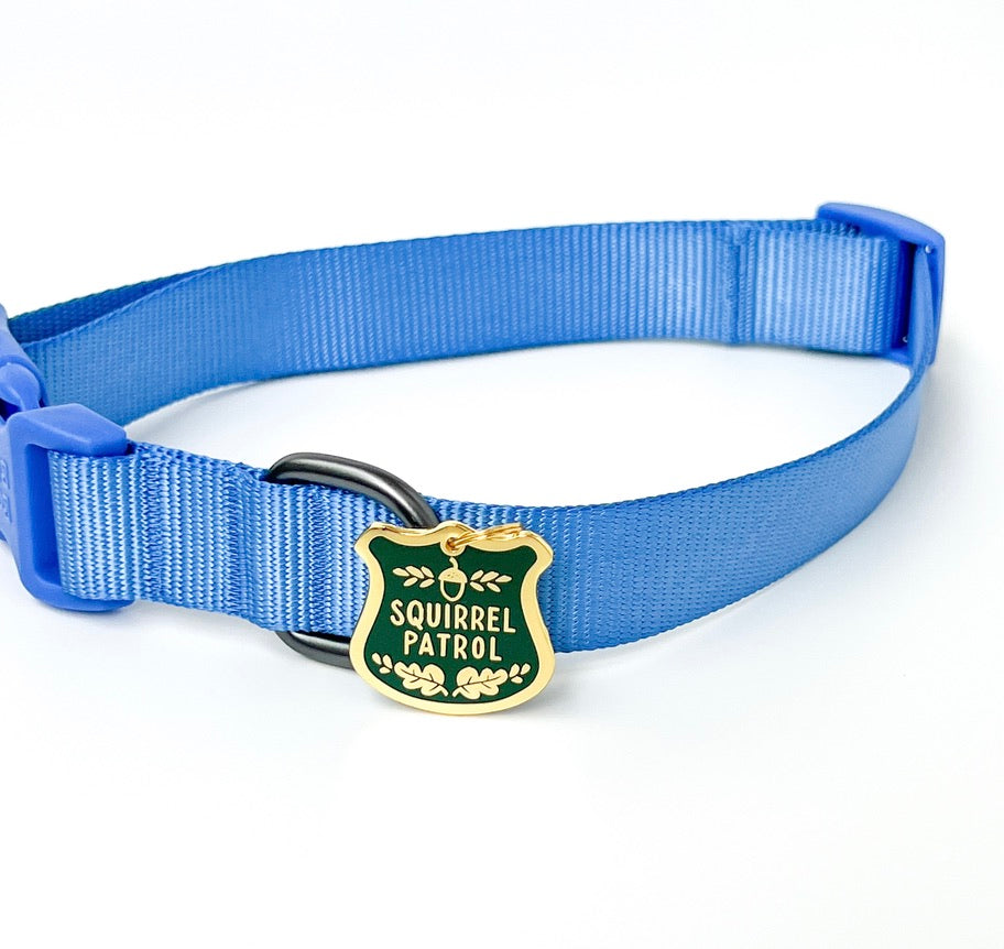 A blue nylon pet collar with a green and gold 'Squirrel Patrol' shield-shaped metal tag, shown on a white background.